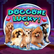 Doggone Lucky screenshot